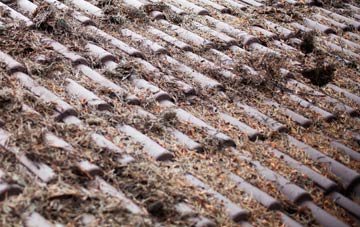 Sandy Haven roof cleaning companies