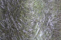 Sandy Haven fibreglass roof work