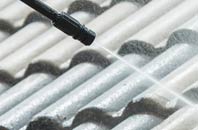 rated Sandy Haven roof cleaning companies